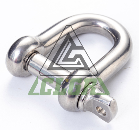 D Shackle Stainless Steel Screw Pin European Type