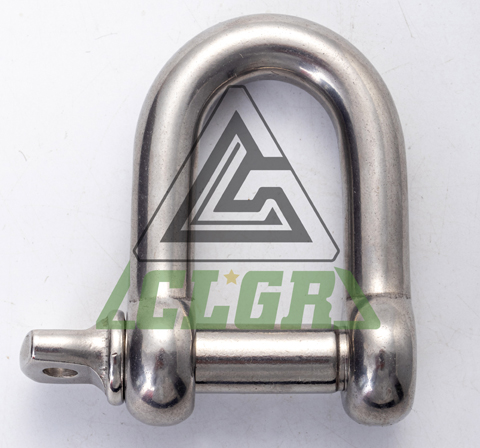 D Shackle Stainless Steel Screw Pin European Type