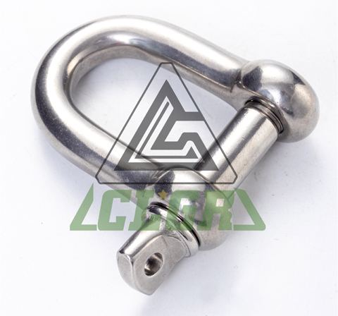 D Shackle Stainless Steel Screw Pin European Type