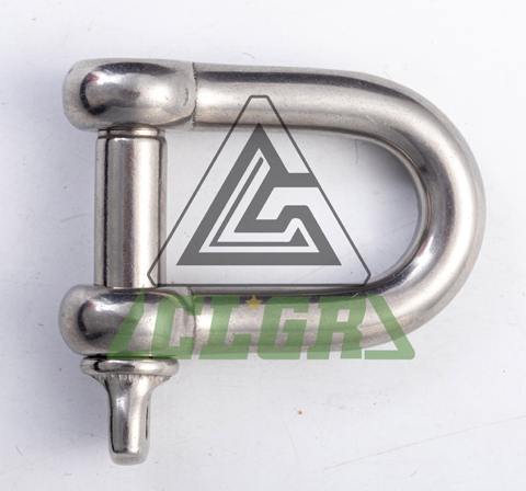 D Shackle Stainless Steel Screw Pin European Type