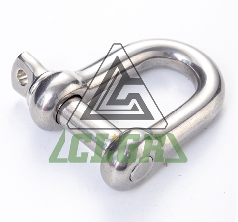 D Shackle Stainless Steel Screw Pin European Type