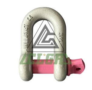 CLGR® High Tensile D Shackle with Screw Pin U.S. Type for Trawling
