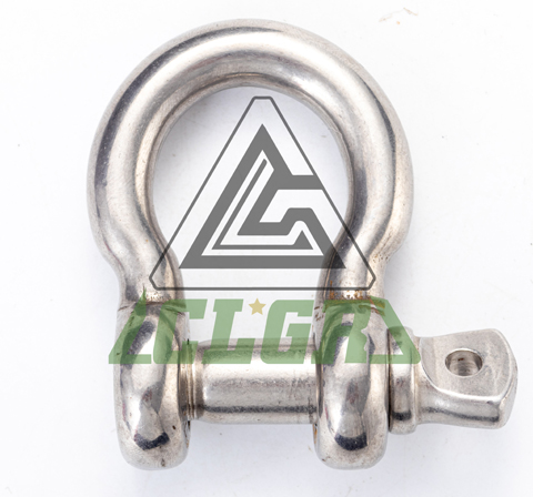 CLGR® Stainless Steel Anchor Shackle with Screw Pin European Type for Trawling