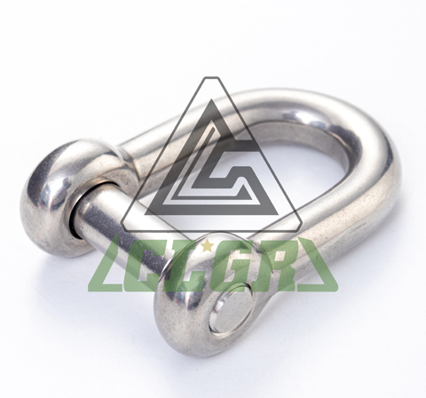 CLGR® Stainless Steel D Shackle with Hexagon Socket Pin – European Type