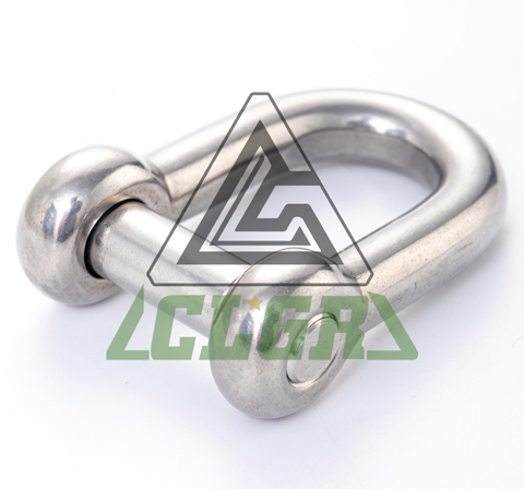CLGR® Stainless Steel D Shackle with Hexagon Socket Pin – European Type