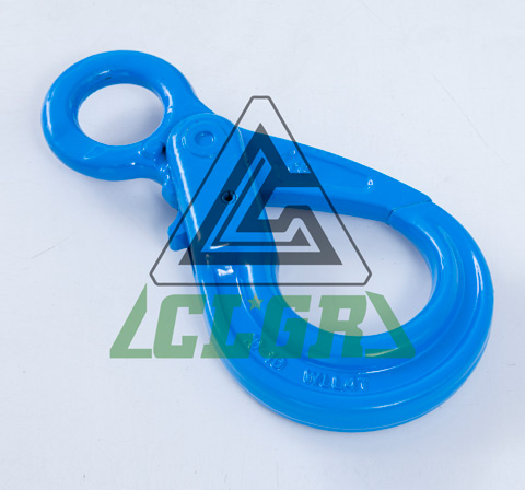 CLGR® G100 Eye Safety Hook Kinds