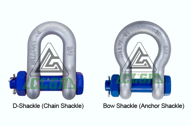D Shackle VS Bow Shackle