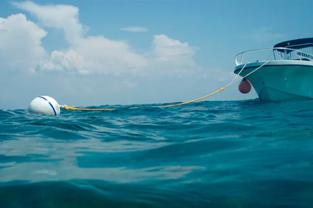 How to Choose Right Buoys?