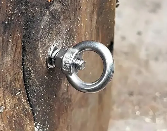 Applications CLGR® Lifting Eye Bolts & Nuts