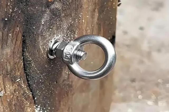Eye Bolt Load Capacity: Complete Guide to Working Load Limits and Lifting Selection